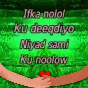 Meet your Posher, Ilkodahab